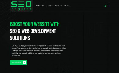 seoesquire.com screenshot