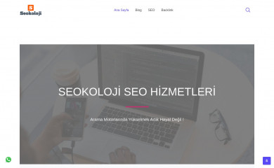 seokoloji.com screenshot