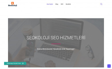 seokoloji.com screenshot