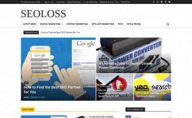 seoloss.com screenshot