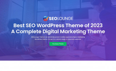 https://seolounge.radiantthemes.com/ screenshot