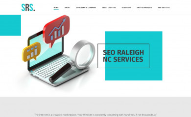 seoraleighnc.com screenshot