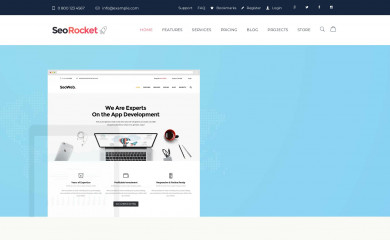 http://seorocket.themerex.net/ screenshot