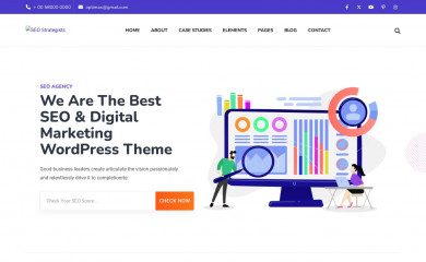 seostrategists.com screenshot