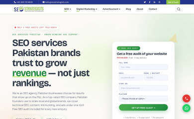 seostrategists.com screenshot