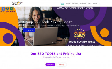 seotoolshero.com screenshot