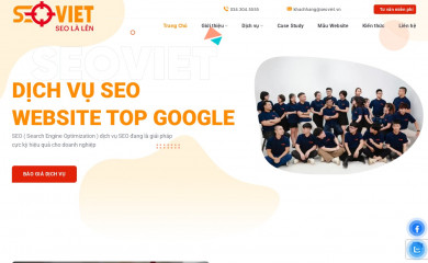 seoviet.vn screenshot