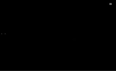seldabagcan.com.tr screenshot