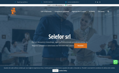 selefor.com screenshot