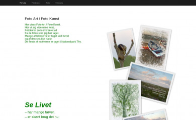 selivet.dk screenshot