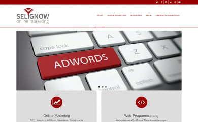 selignow.de screenshot