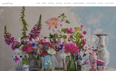 selinalake.co.uk screenshot
