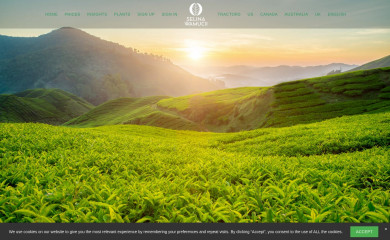 selinawamucii.com screenshot