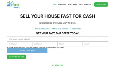 sellwisehomebuyers.com screenshot