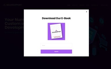http://sellersupport.us screenshot