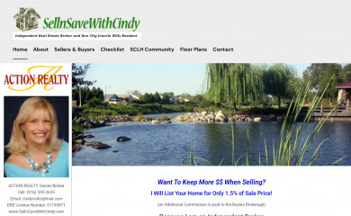 sellnsavewithcindy.com screenshot