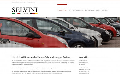 selvini.de screenshot