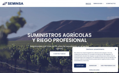 seminsa.es screenshot