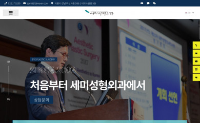 semips.co.kr screenshot