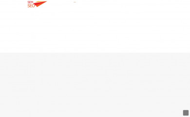 semseo.com.tr screenshot
