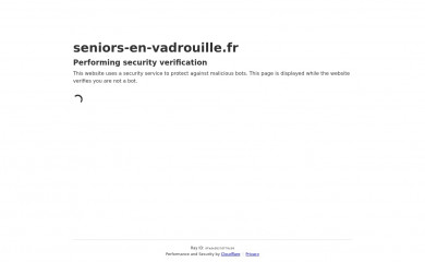 seniors-en-vadrouille.fr screenshot
