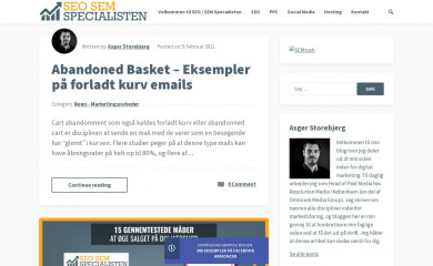 seo-sem-specialisten.dk screenshot