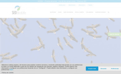 seo.org screenshot