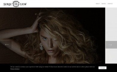 sergelevchenko.com screenshot