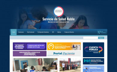 http://serviciodesaludnuble.cl screenshot