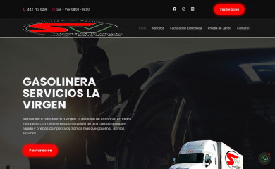 servicioslavirgen.com.mx screenshot