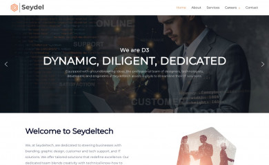 seydeltech.com screenshot