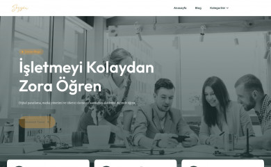 sezginkoyun.com screenshot