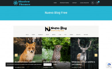 Nuevo Blog screenshot