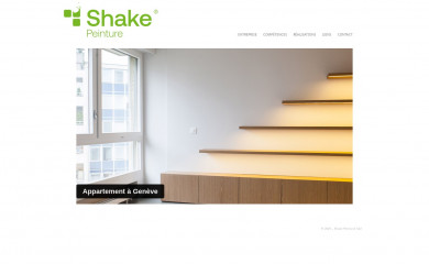 shakepeinture.ch screenshot