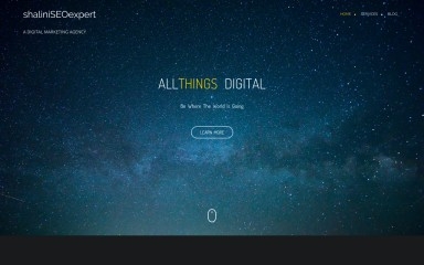 shaliniseoexpert.com screenshot