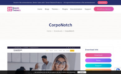 CorpoNotch screenshot