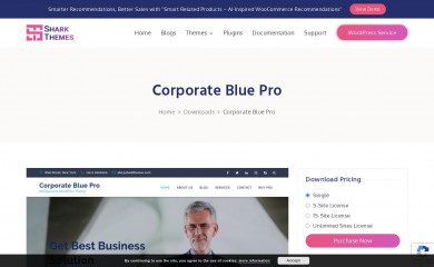 Corporate Blue Pro screenshot