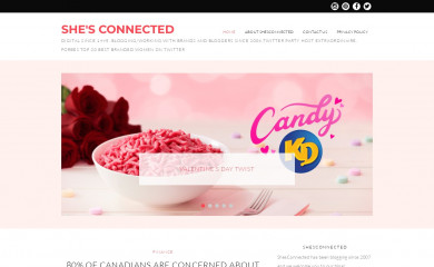 shesconnectedblog.com screenshot