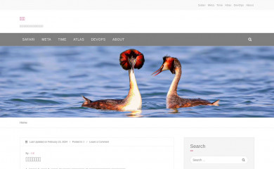 shineve.com screenshot