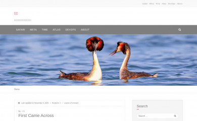 shineve.com screenshot