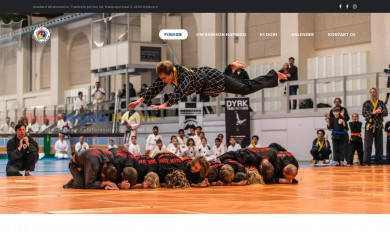 shinsonhapkidohvidovre.dk screenshot