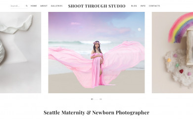 shootthroughstudio.com screenshot