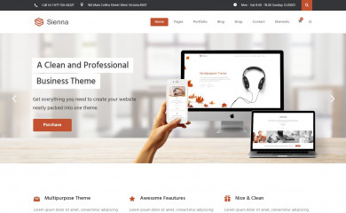 Sienna Child Theme screenshot