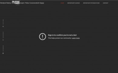silesiacam.pl screenshot