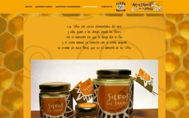 silfosdelsarao.cl screenshot