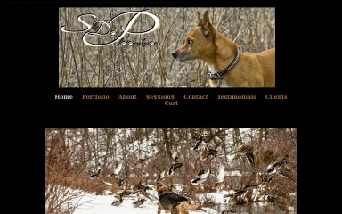 sillydogphotography.com screenshot