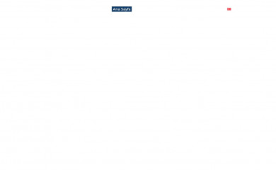 siltasyapi.com screenshot