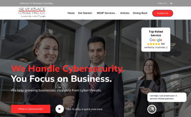 silverbackconsulting.us screenshot