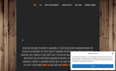 silverlabradorstexas.com screenshot