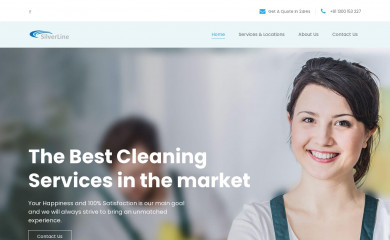 silverlinegroup.com.au screenshot